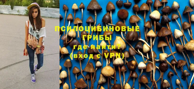 Галлюциногенные грибы Magic Shrooms  как найти наркотики  Ишимбай 